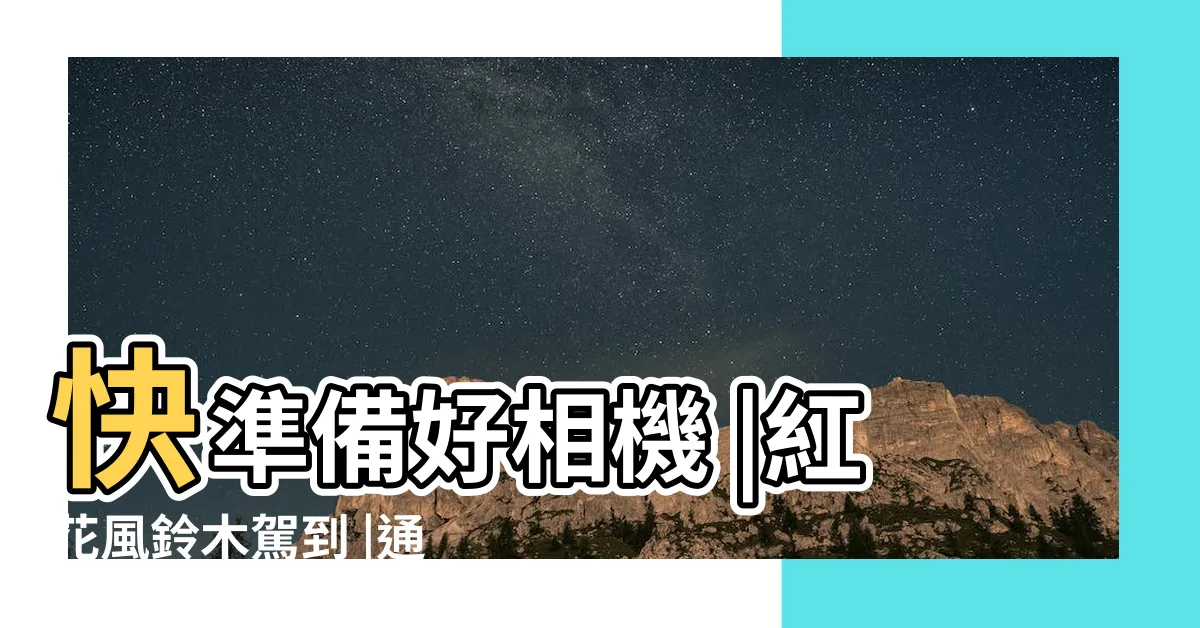 【紅花喬木】快準備好相機 |紅花風鈴木駕到 |通常在開花前 |