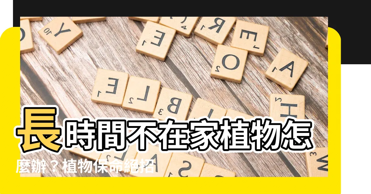 【長時間不在家 植物】長時間不在家植物怎麼辦？植物保命絕招一次報你知！