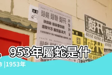 【1953年屬相】1953年屬蛇是什麼命 |1953年屬蛇生人屬相婚配表 |53年出生五行屬什麼 |