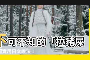 【拉豬屎意思】不可不知的「拉豬屎」超實用日文説法！讓你暢聊台灣文化不卡關