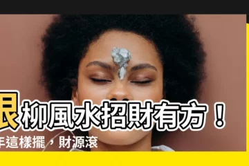 【銀柳風水】銀柳風水招財有方！過年這樣擺，財源滾滾不求人