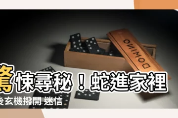 【蛇進家裡】驚悚尋秘！蛇進家裡背後玄機撥開 迷信與真相
