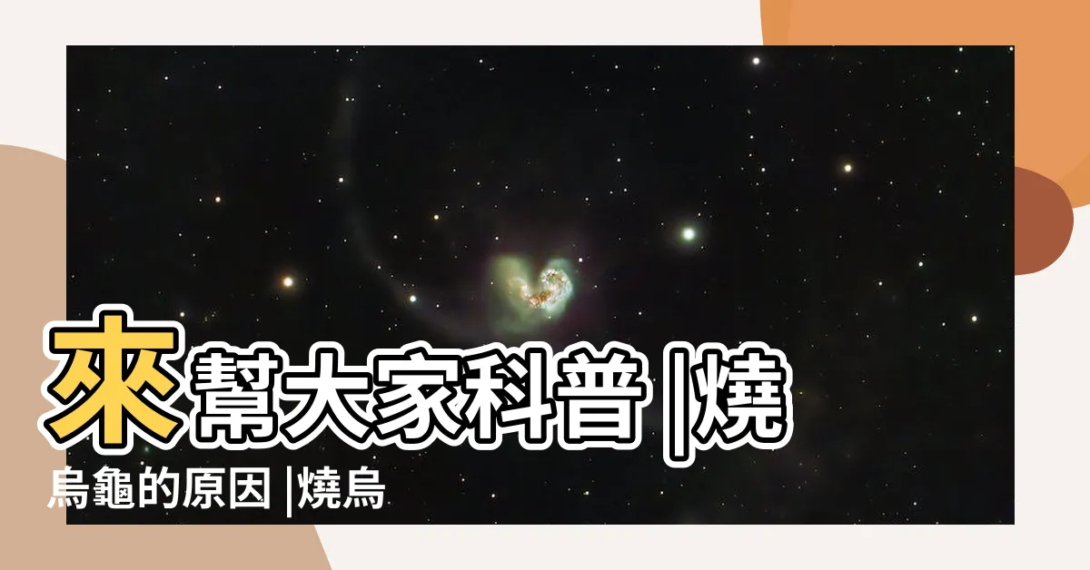 【燒烏龜由來】來幫大家科普 |燒烏龜的原因 |燒烏龜祈晴 |