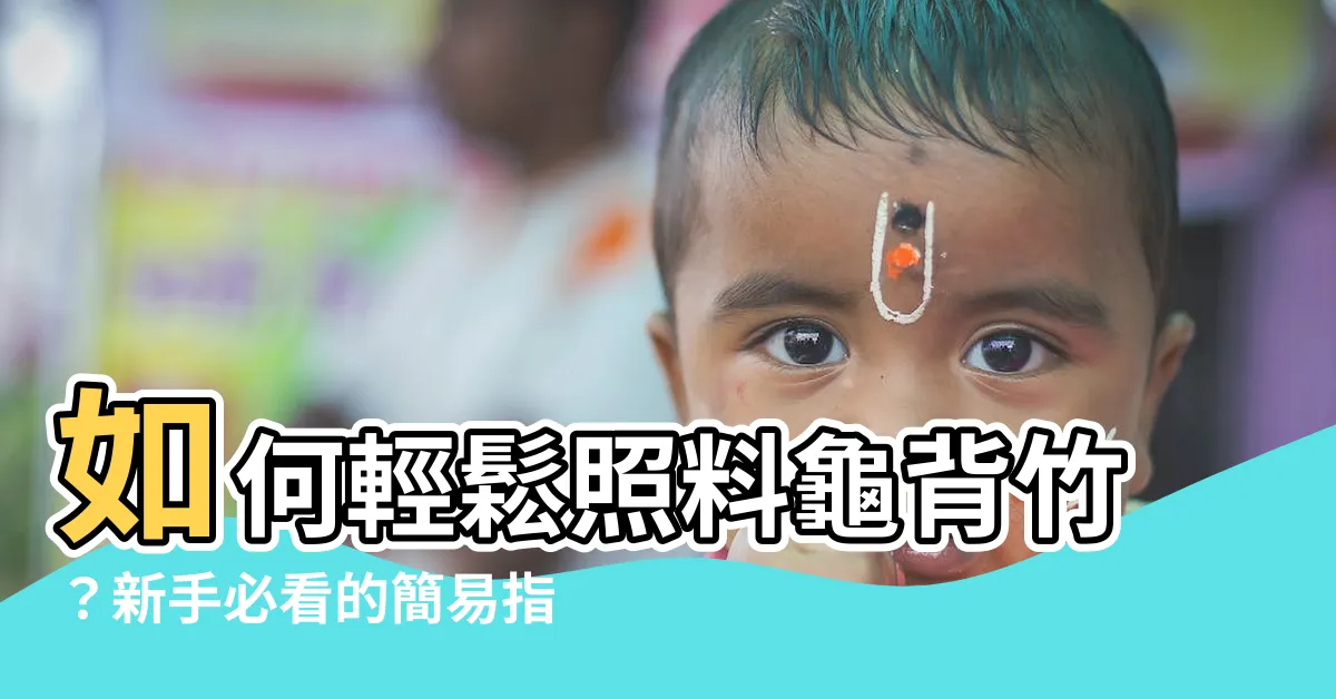 【龜背竹】如何輕鬆照料龜背竹？新手必看的簡易指南！