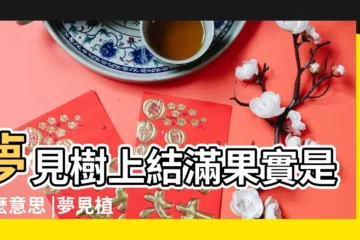 【夢見樹上法滿黑果子】夢見樹上結滿果實是什麼意思 |夢見植物 |夢見滿樹綠色的果子 |