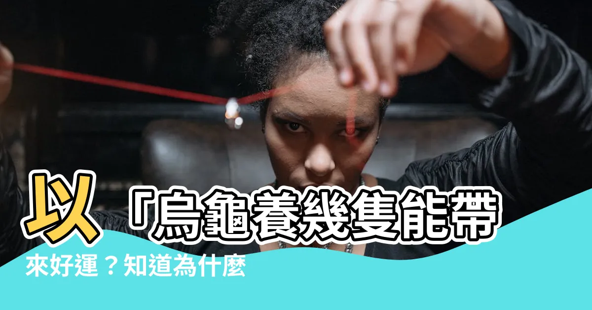 【養烏龜數量】以「烏龜養幾隻能帶來好運？知道為什麼烏龜要養三隻」