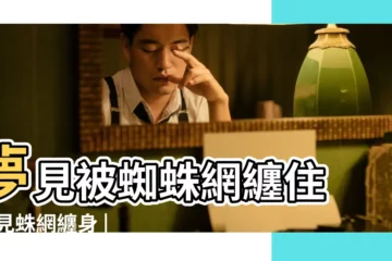【孕婦夢見蜘蛛網纏住自己】夢見被蜘蛛網纏住 |夢見蛛網纏身 |夢到蛛網纏身是什麼意思 |