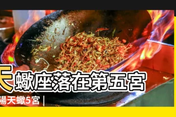 【太陽天蠍五宮】天蠍座落在第五宮 |太陽天蠍5宮 |太陽星座落五宮 |