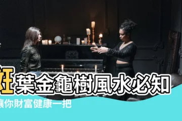 【斑葉金龜樹風水】斑葉金龜樹風水必知！讓你財富健康一把抓