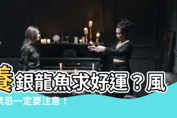 【銀龍魚風水】養銀龍魚求好運？風水禁忌一定要注意！