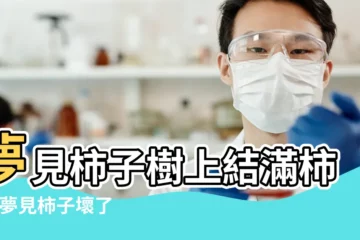 【夢見樹上的柿子都壞了】夢見柿子樹上結滿柿子 |夢見柿子壞了 |周公解夢夢見柿子樹是什麼意思 |