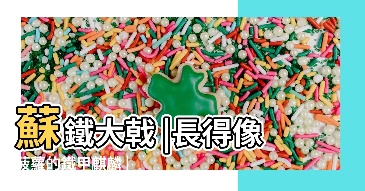 【鐵甲麒麟】蘇鐵大戟 |長得像菠蘿的鐵甲麒麟 |沾土就能活 |