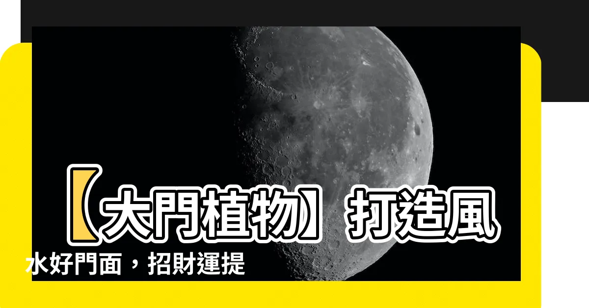 【大門植物】【大門植物】打造風水好門面，招財運提升運勢！