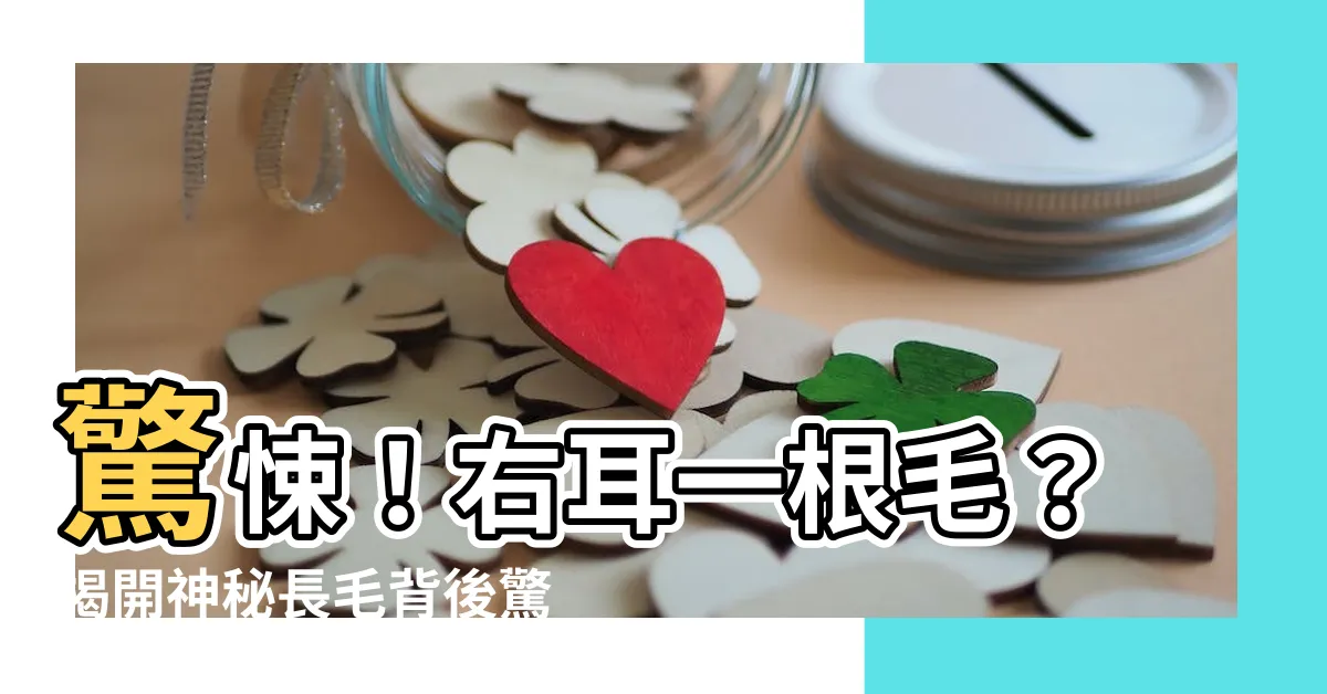 【耳朵一根毛】驚悚！右耳一根毛？揭開神秘長毛背後驚人真相！