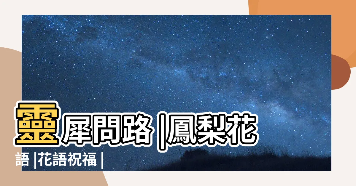 【鳳梨花花語】靈犀問路 |鳳梨花語 |花語祝福 |