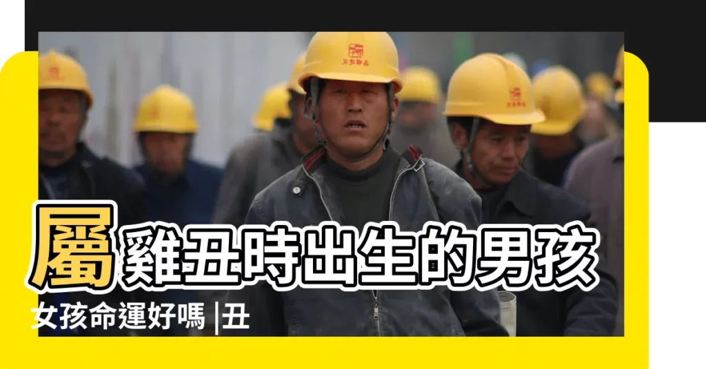 屬雞丑時出生的男孩女孩命運好嗎 |丑時出生的雞男孩財運 |屬雞丑時出生的人命運分析 |【雞年醜時生的男孩】