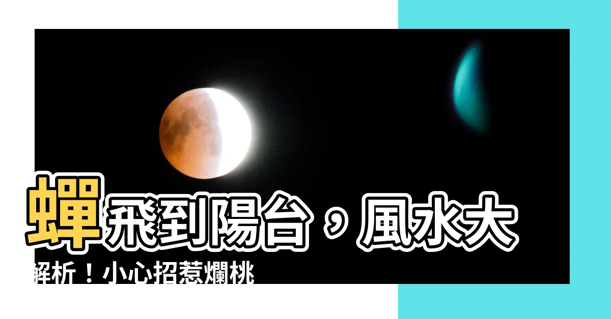 【蟬飛到陽台】蟬飛到陽台，風水大解析！小心招惹爛桃花、破財