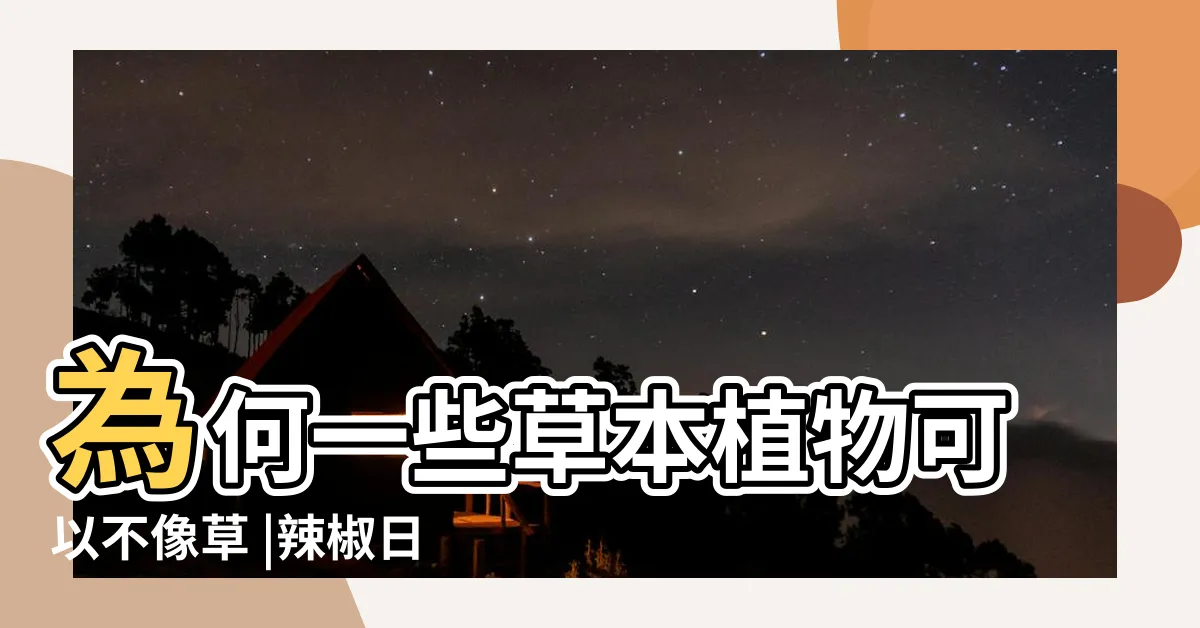 【辣椒樹】為何一些草本植物可以不像草 |辣椒日常養護照顧方法 |辣椒可以長成辣椒樹 |