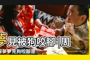 【夢見狗咬腳踝是什麼意思】夢見被狗咬腳 |周公解夢夢見狗咬腳是什麼意思 |夢見被狗咬腳踝 |