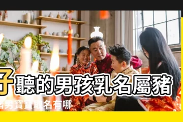 【豬年男寶寶乳名好寓意】好聽的男孩乳名屬豬屬豬男寶寶取名有哪些 |屬豬男孩乳名洋氣點的 |豬年男寶寶乳名有寓意 |