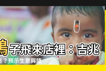 【鴿子飛來店裡】鴿子飛來店裡：吉兆徵兆？預示生意興隆？