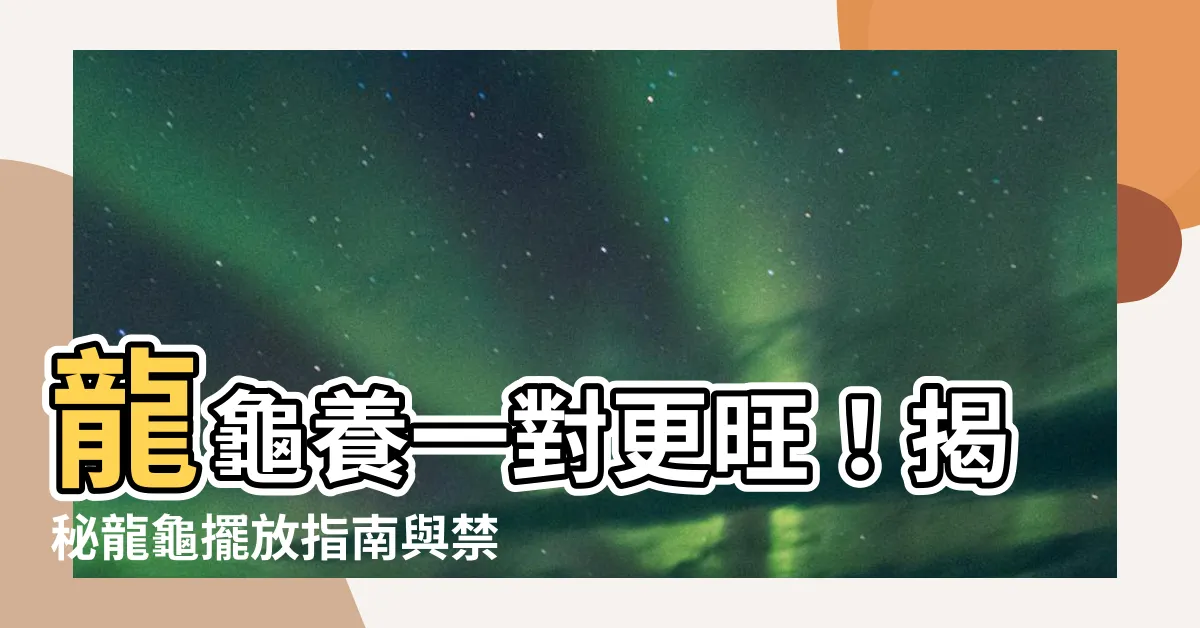 【龍龜要放一對嗎】龍龜養一對更旺！揭秘龍龜擺放指南與禁忌