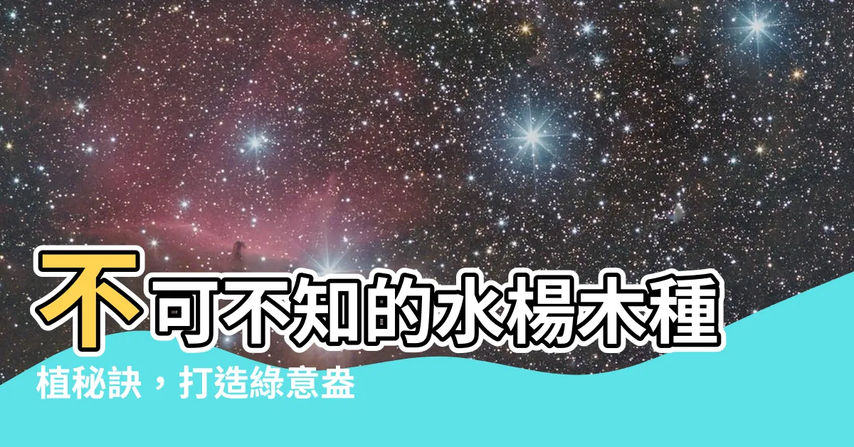 【水楊木種植】不可不知的水楊木種植秘訣，打造綠意盎然的户外空間