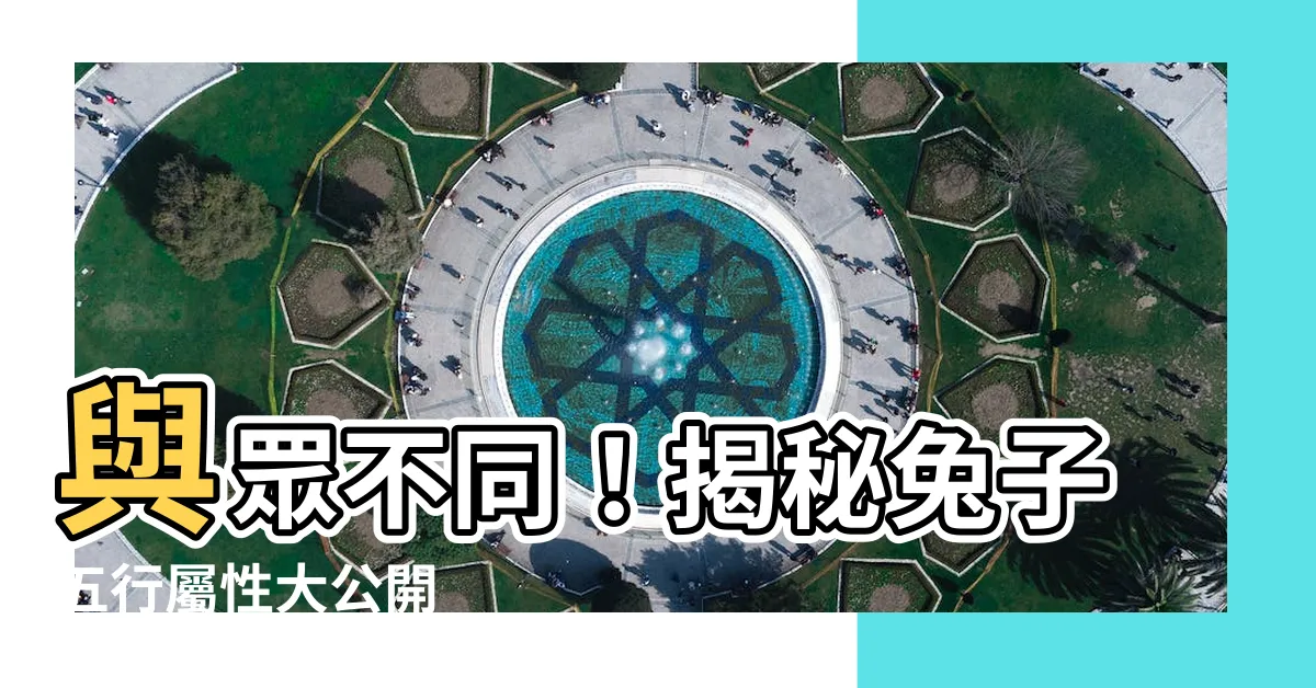 【兔子五行】與眾不同！揭秘兔子五行屬性大公開