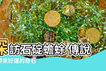 【石碇蟾蜍】探訪石碇蟾蜍 傳説中帶來好運的奇石