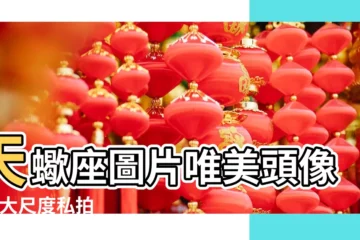 【動漫中天蠍座圖片唯美圖片大全集】天蠍座圖片唯美頭像 |超大尺度私拍 |動漫中天蠍座圖片大全集 |