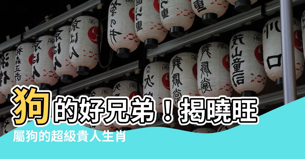 【什麼生肖旺狗】狗的好兄弟！揭曉旺屬狗的超級貴人生肖