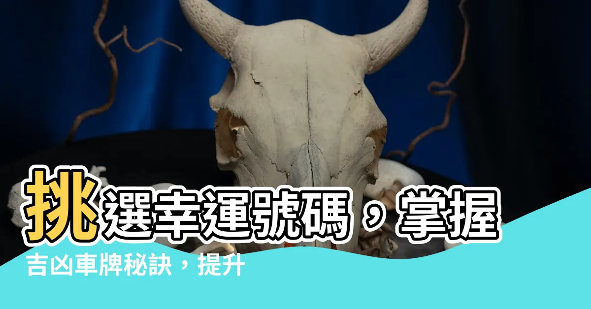 【吉凶車牌】挑選幸運號碼，掌握吉凶車牌秘訣，提升運勢指南