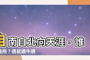 【自南自北自東西 欲到天涯誰作梯 遇鼠逢牛三弄笛 好將名姓榜頭題】自南自北向天涯，誰助我飛？遇鼠遇牛遇仙笛，名揚四海傳佳話