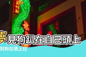 【周公解夢 狗在頭上】夢見狗趴在自己頭上 |夢到狗在頭上拉屎有什麼預示嗎 |夢到小狗在頭上撒尿預示什麼 |