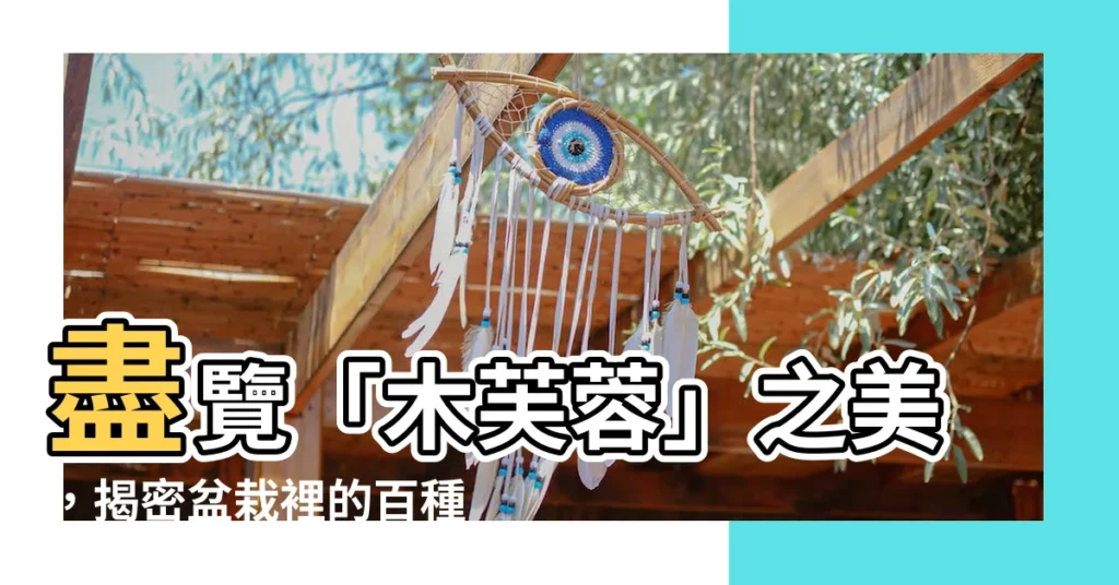 【芙蓉樹】盡覽「木芙蓉」之美，揭密盆栽裡的百種風情！