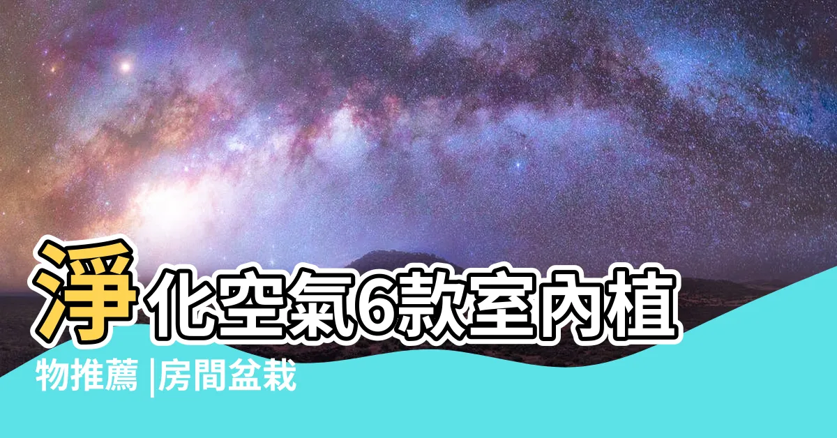 【房間 盆栽】淨化空氣6款室內植物推薦 |房間盆栽 |室內盆栽讓你一夜好眠 |