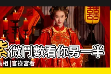 【事業宮貪狼看配偶】紫微鬥數看你另一半的長相 |官祿宮看配偶長相怎麼看 |看你的未來另一半長相 |