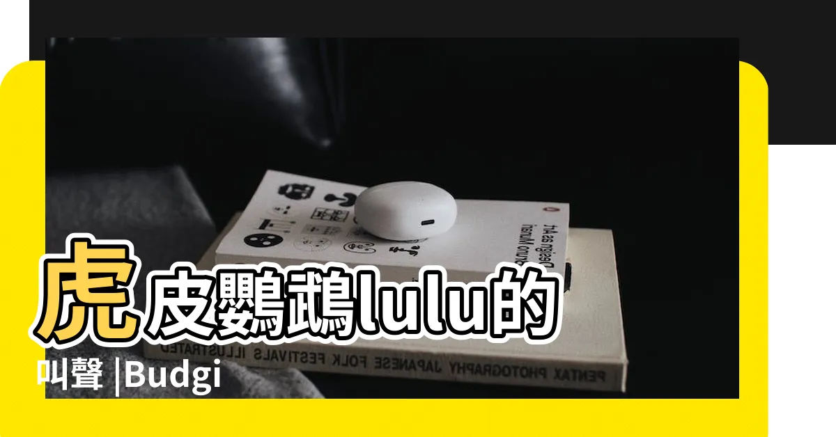 【虎皮鸚鵡叫聲】虎皮鸚鵡lulu的叫聲 |Budgie |可幫助新到家的虎皮放鬆 |