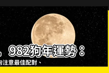 【1982狗】1982狗年運勢：屬狗注意最佳配對、解開忌諱生肖