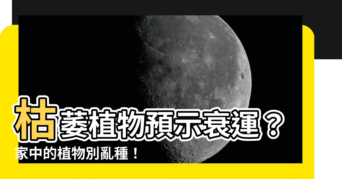 【枯萎植物 風水】枯萎植物預示衰運？家中的植物別亂種！命理師曝5大破財禁忌