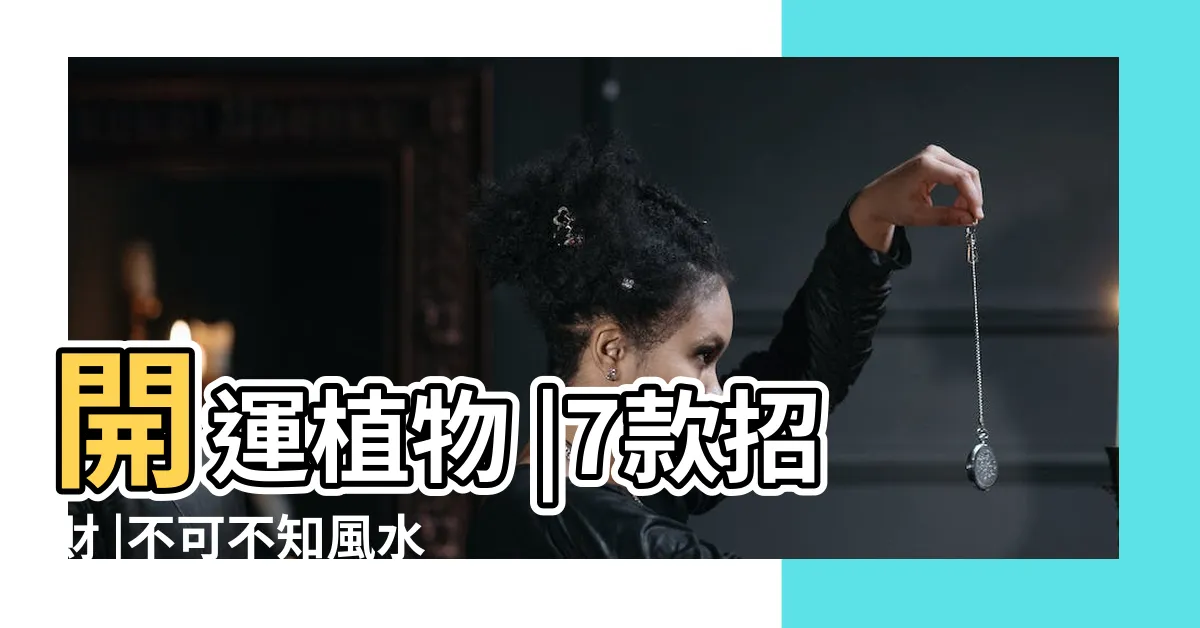 【室內風水樹】開運植物 |7款招財 |不可不知風水禁忌公 |