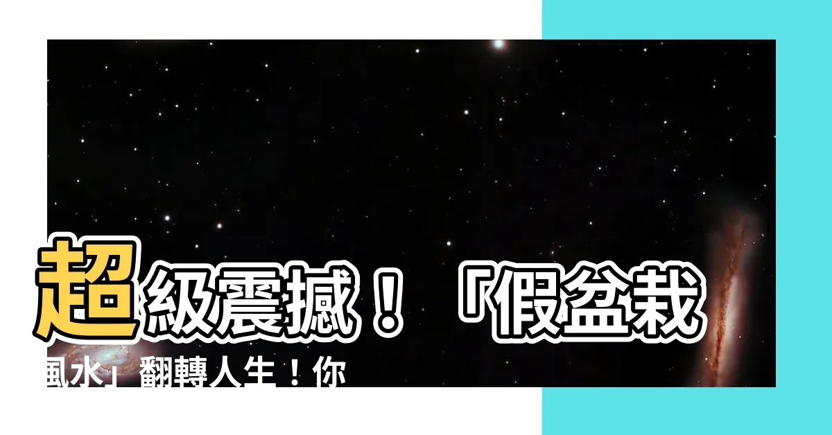 【假盆栽風水】超級震撼！「假盆栽風水」翻轉人生！你一定要知道的關鍵！