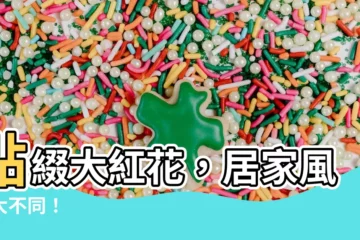 【大紅花風水】點綴大紅花，居家風水大不同！