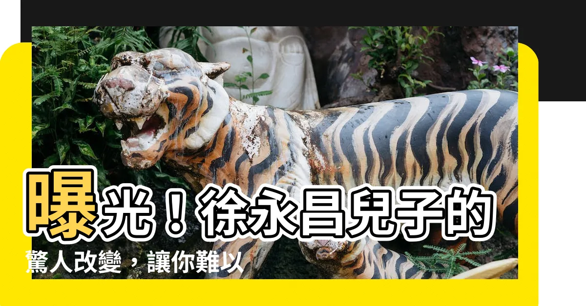 【徐永昌兒子】曝光！徐永昌兒子的驚人改變，讓你難以置信！