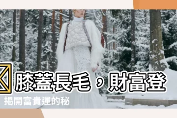 【膝蓋有毛】✨膝蓋長毛，財富登峯！揭開富貴運的秘密✨