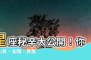 【星座 上升 太陽】星座秘辛大公開！你的上昇、太陽、月亮星座是什麼？點我秒算！