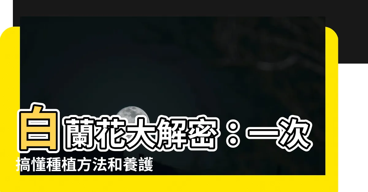 【白蘭花 種植】白蘭花大解密：一次搞懂種植方法和養護訣竅！