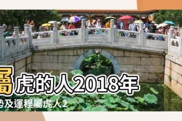 【屬虎2018年5月10日財運】屬虎的人2018年運勢及運程屬虎人2018年全年運勢 |2018年屬虎人的全年運勢 |2018年12生肖運勢詳解 |