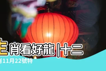 【十二生肖11月22號特碼】生肖看好龍 |十二生肖11月22號特碼大公開 |第11319期南粵36選7推薦 |