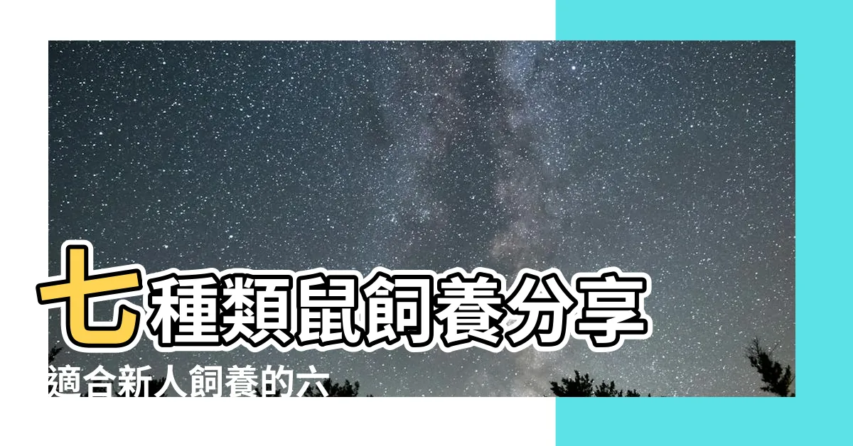 【鼠類寵物】七種類鼠飼養分享 |適合新人飼養的六種鼠類萌寵推薦 |我適合養什麼鼠 |